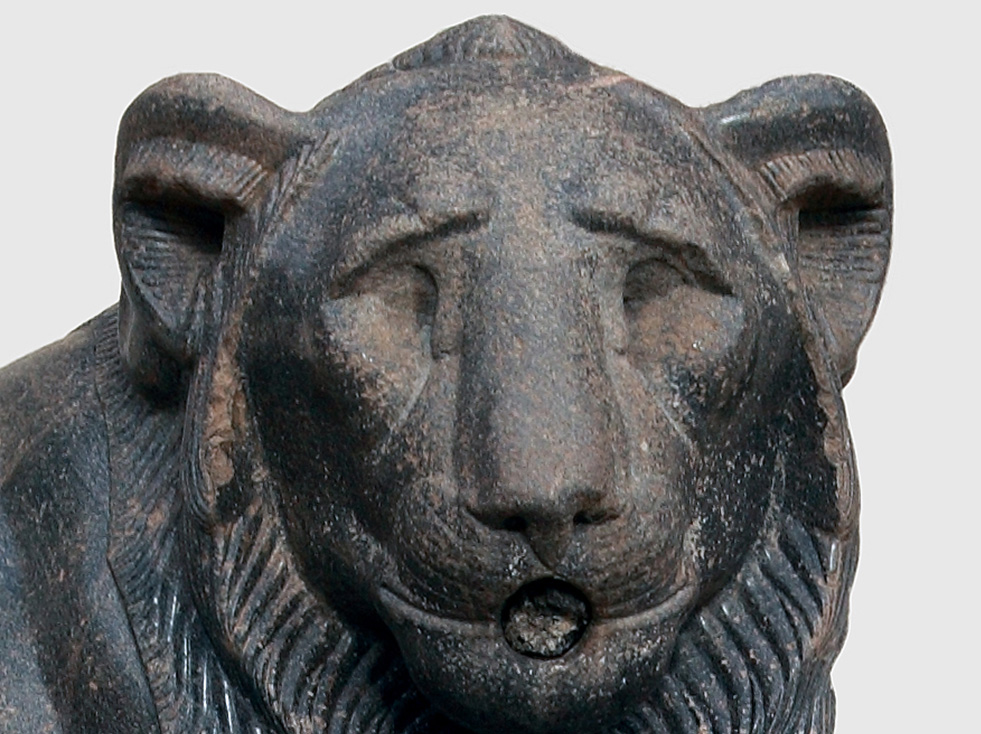 メディチライオンの像 ヴァッカ と ファンチェッリ (2 lions) 頭に鳥を乗せたフィレンツェのライオン像、イタリアのロッジャ