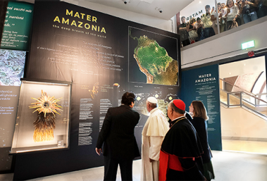 Der Papst in den Vatikanischen Museen